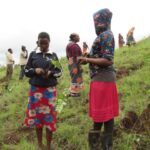 使用済み切手の寄付で緑を守る取り組みを