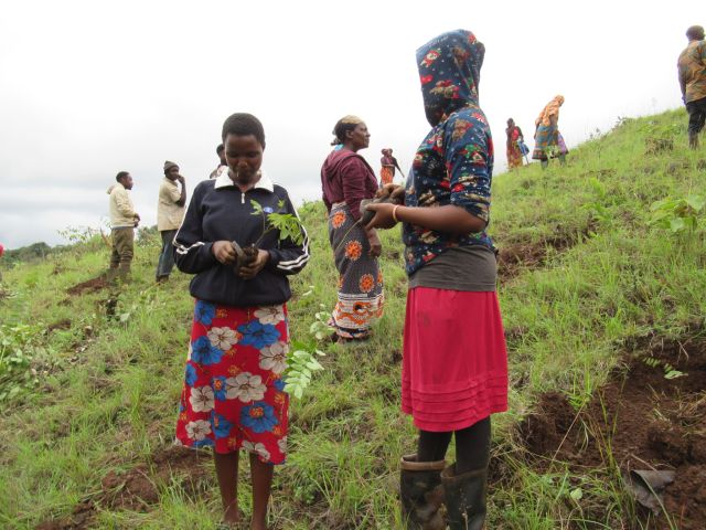 「使用済み切手の寄付で緑を守る取り組みを」のアイキャッチ画像